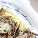 산촌영농조합법인 이미지