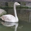 제주야생동물구조센터 이미지