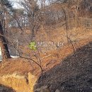 효령로67길 64 이미지