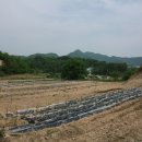 옥천농장 이미지