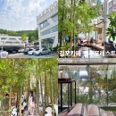 김포 하성면 카페 뱀부포레스트 | 김포 카페 추천 | 김포 가볼만한곳 | 김포 대형카페