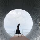 평강축산 | [평강맘 일상] 강원도, 평강이 태교여행 2일차 양떼목장과 속초시장 녹초가 된 하루