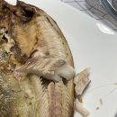서강어촌 임연수 구이 내돈내산 후기 | 에어프라이어에 구우니 촉촉하고 맛나요👍
