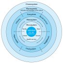 The inextricable link between wellbeing and learning. 이미지
