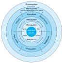 The inextricable link between wellbeing and learning. 이미지