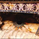 구유목장 이미지