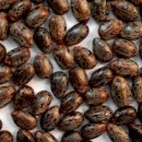 뉴독일안경 이미지