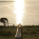 포레스트 랩(FOREST LAB) | [Wedding Snap] 블란도 예약 후기 (feat. 옒란도)