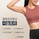 조각성형외과의원 | 부산성형외과 유명한곳, 팔뚝이 고민이라면