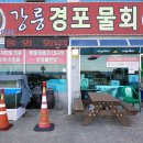 강릉경포물회 이미지