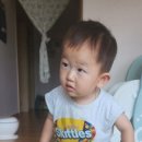 한우숲속애소 이미지