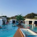 드레피인 이미지