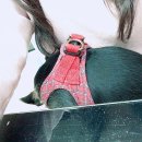 네일츄르 이미지