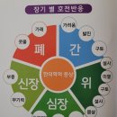 쌍디에 이미지