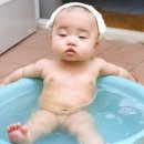오야