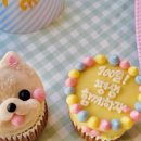 펫스튜리(petschurri) 이미지