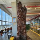 썬옥(SUNOK) 이미지