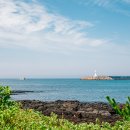 파도소리 이미지