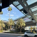 우진농장 | 제주 우진해장국 내돈내산, 서귀포 게스트하우스 구옥주택 파티 후기