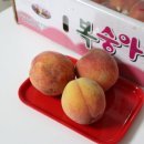 주월농장 네이버블로그