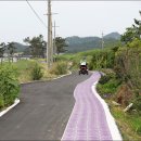 보라빛 섬마을 - 퍼플섬 박지도 사람들의 평범한 일상 이미지