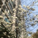 ㈜엘에스에너지 이미지