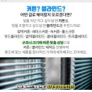 시온성커튼
