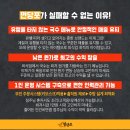 1인창업 면당포, 키오스크창업 대세