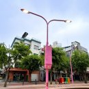 홍대 레드로드 이미지