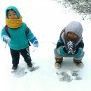 마이산 흑염소 농장 이미지