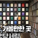 서림치과의원 네이버블로그