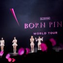 와이지케이디자인 한겨레