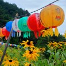 우리공인중개사 이미지