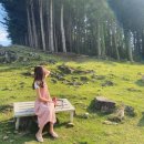 회동목장 이미지