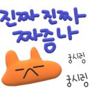 거북이의 꿈 이미지