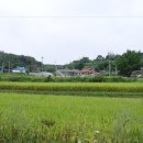 팔왕마을 이미지