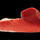 와사비참치일식 이미지