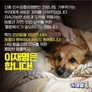 자연모두 이미지