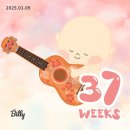 (Week 37, 38) 임신 37주, 38주_가진통 시작, 우량아, 심해지는 붓기, 입맛상실, 플렉시바스, 집콕 및...