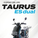 전동판매점