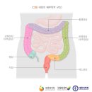 대장 이미지