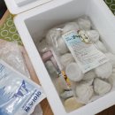 행복한감자 영농조합 이미지