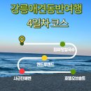 엔드호텔 | 강릉애견동반여행 4일차코스 ( 최씨장칼국수,엔드투앤드,사근진해변,호텔오브솔트 )