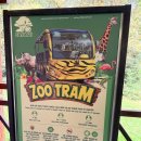 기린여행사(주) | [푸꾸옥 여행] 아시아 최대 규모! 빈펄 사파리 완벽 정복 가이드 🦒🦁 (ft. 사파리 트램 &amp; 기린식당 꿀팁)