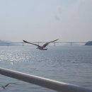 대교약국 네이버블로그