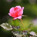 청안(靑眼)과 백안(白眼) 이미지