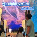 인스파이어 오로라 후기 | 고래 오로라쇼와 영종도짱랜드