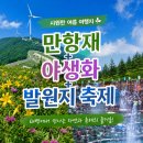 태백 만항재 &amp; 한강·낙동강 발원지 축제! 여름 여행 코스 추천(작년 후기 팁)