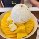 달브로 이미지