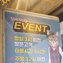 야옹아놀자 캣카페(동성로점) | 대구 고양이카페 갈만한곳